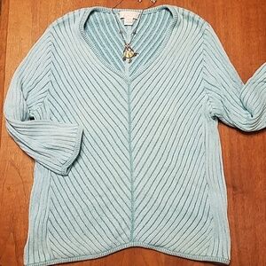 #060 Christopher & Banks Large Vneck Sweater